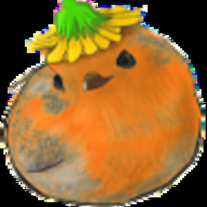 Meet your Posher, Ali